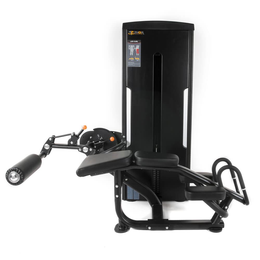 Leg Curl, Thor Fitness