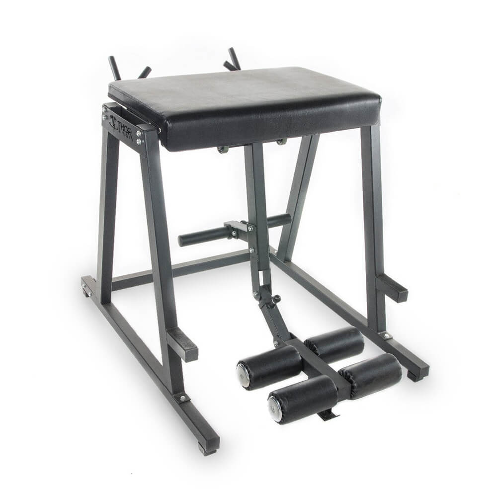 Reverse Hyperextension, Thor Fitness