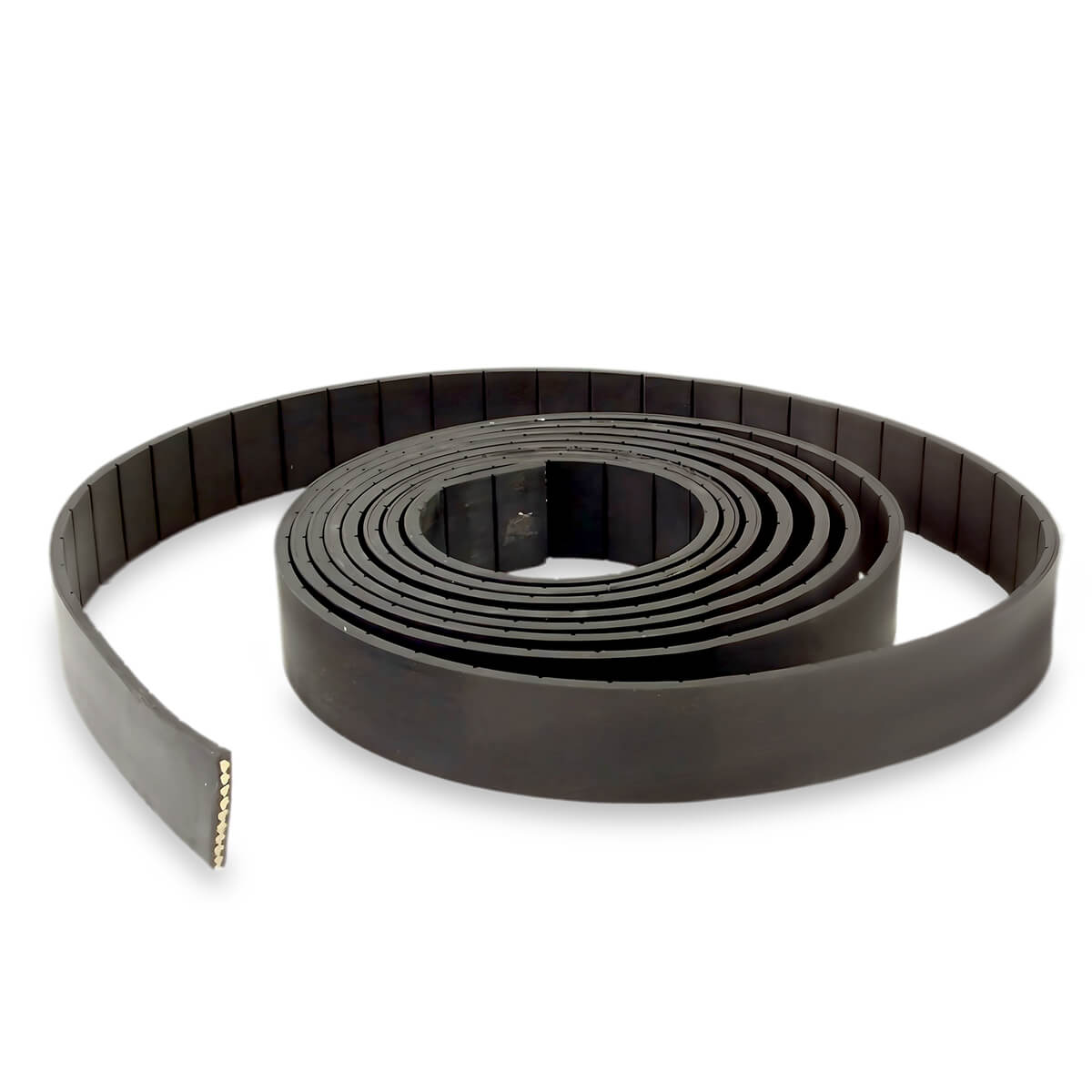 Rem til styrketræningsmaskine, 20 mm, JTC Power