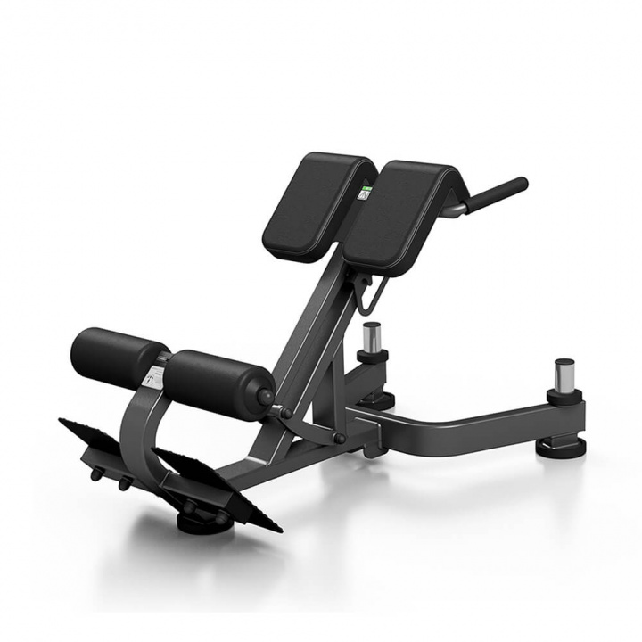 Tjek Lower Back Bench Pro L212, JTC X-Line på SportGymButikken.dk