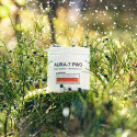 PWO Aura-7, 400g, Sour Blast