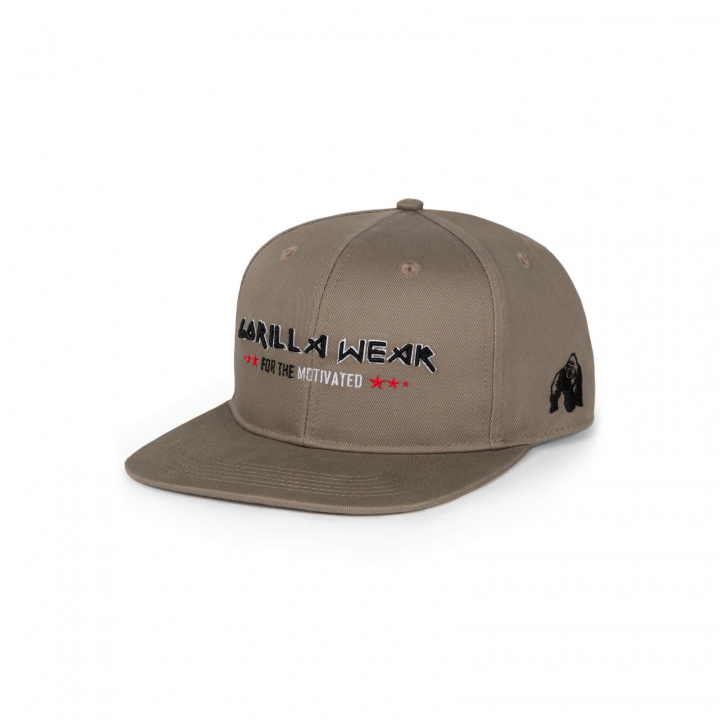 Wayne Snapback Cap, brown, Gorilla Wear i gruppen Herretøj / Tilbehør / Kasketter hos Sportgymbutikken.dk (GW-92235-129)