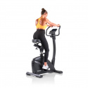 Motionscykel Exum XTR, Hammer