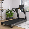 Løbebånd, Treadmill Gardian G10, inSPORTline