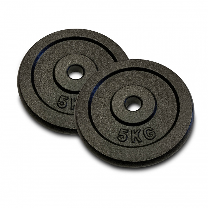 Tjek Vægtskiver Metal 25 mm. 2 x 5 kg hos SportGymButikken.dk