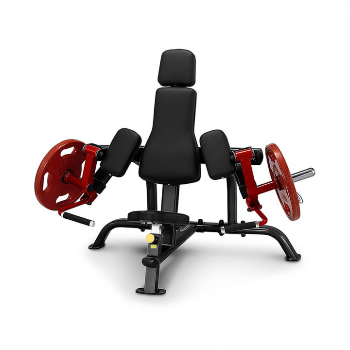 Tjek Bicepscurl PLBC, Steelflex på SportGymButikken.dk