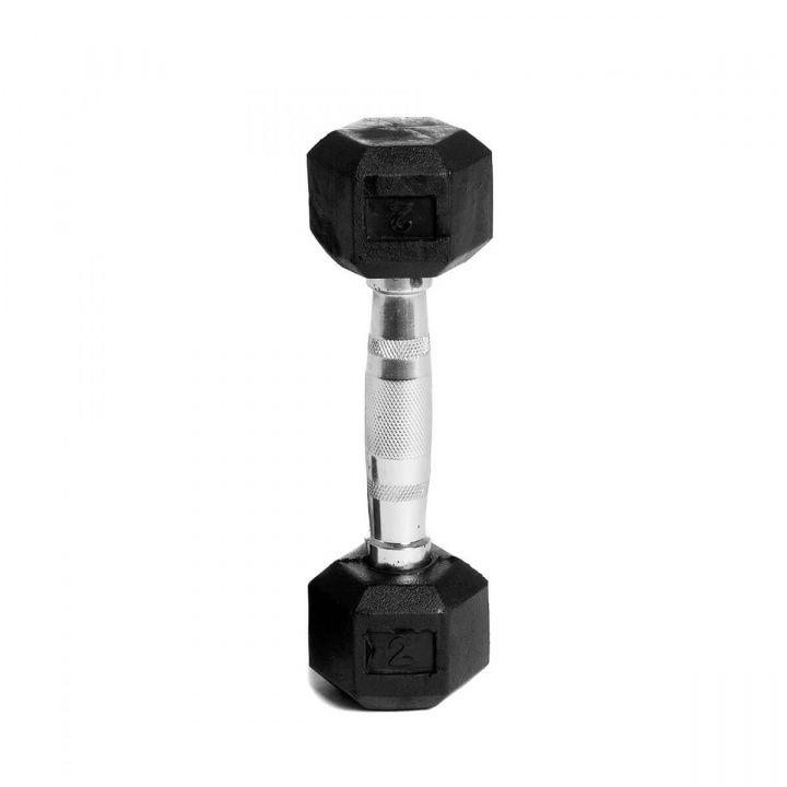 Tjek Hex håndvægtgummi, 2 kg, Abilica på SportGymButikken.dk