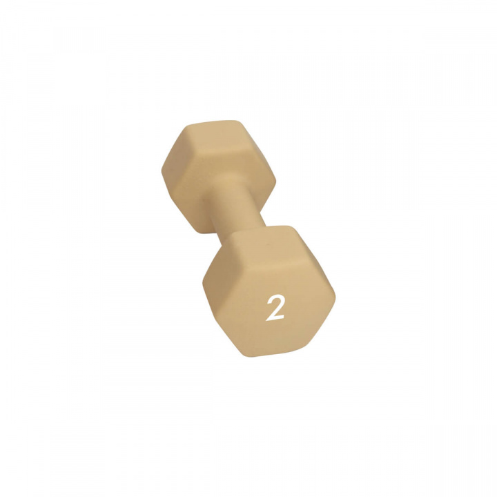 Abilica Hex Neoprene Dumbbell, 2 kg i gruppen Styrke / Håndvægte & Kettlebells / Håndvægte hos Sportgymbutikken.dk (SU-374276)
