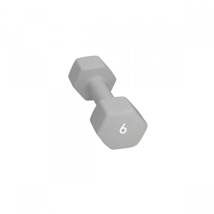 Abilica Hex Neoprene Dumbbell, 6 kg i gruppen Styrke / Håndvægte & Kettlebells / Håndvægte hos Sportgymbutikken.dk (SU-374280)