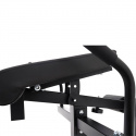 Benspark BX25, Master Fitness